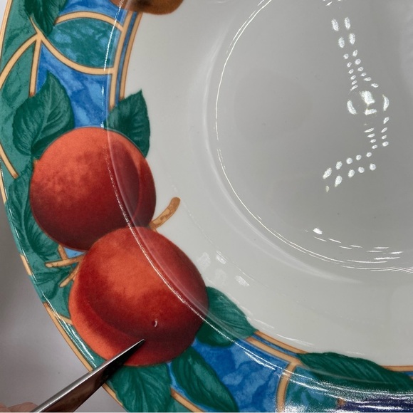 Casual Victoria & Beale Forbidden Fruit 4 8.5” Rimmed Soup Bowls Fine Porcelain - Picture 16 of 16